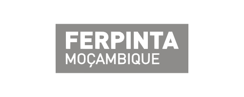 ferpintamz-logo
